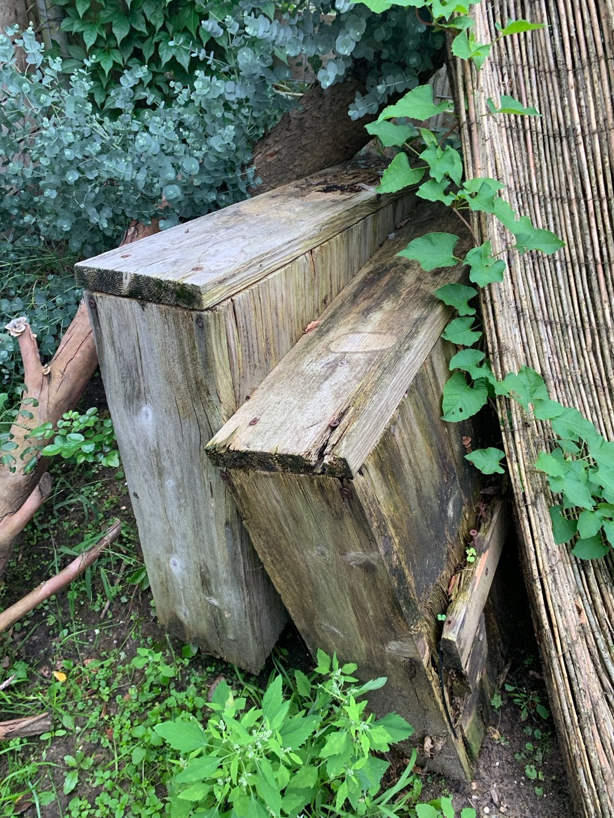 Gebruikt onbehandeld steiger hout, open haard of vuurkorf, Ophalen, Gebruikt, 200 tot 250 cm, Plank