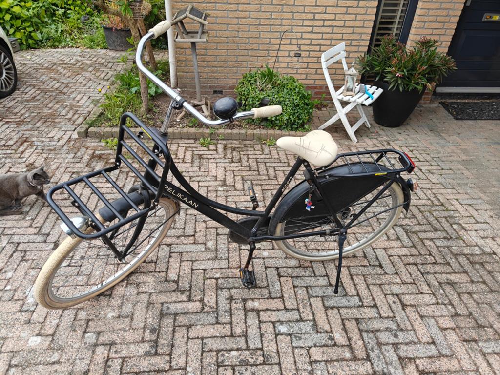 Pelikaan Damesfiets met Voordrager - Zwart, Terugtraprem, Gebruikt, 50 tot 53 cm, Ophalen