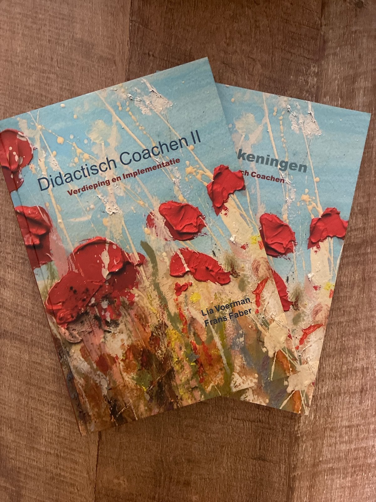 Didactisch Coachen II - Verdieping en Implementatie, Ophalen of Verzenden, Gamma, Zo goed als nieuw, HBO