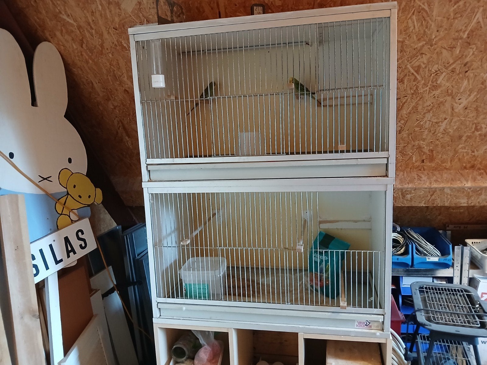 Dubbele kweekkooi met 2 jonge grasparkieten., Dieren en Toebehoren, Vogels | Hokken en Kooien, Ophalen, Gebruikt, Hout, Broedkooi of Kweekkooi