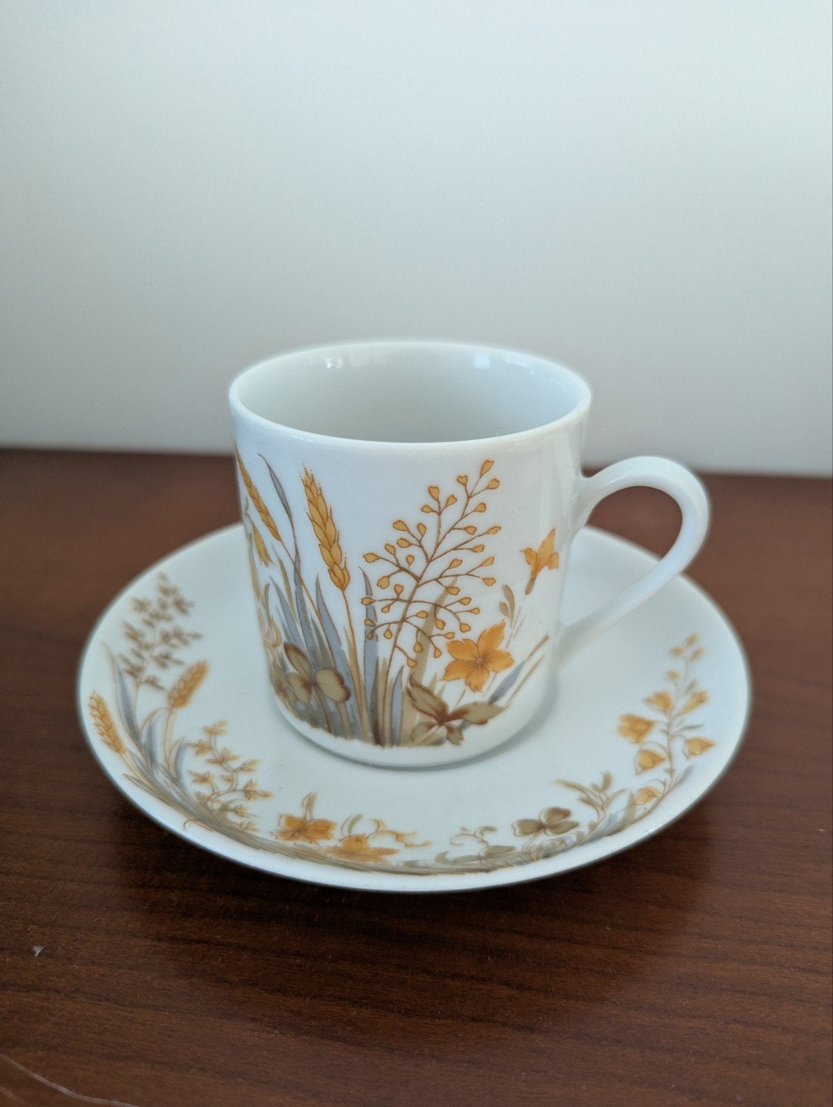 kop en schotel met print van Mitterteich, Ophalen of Verzenden, Zo goed als nieuw, Porselein, Kop en/of schotel