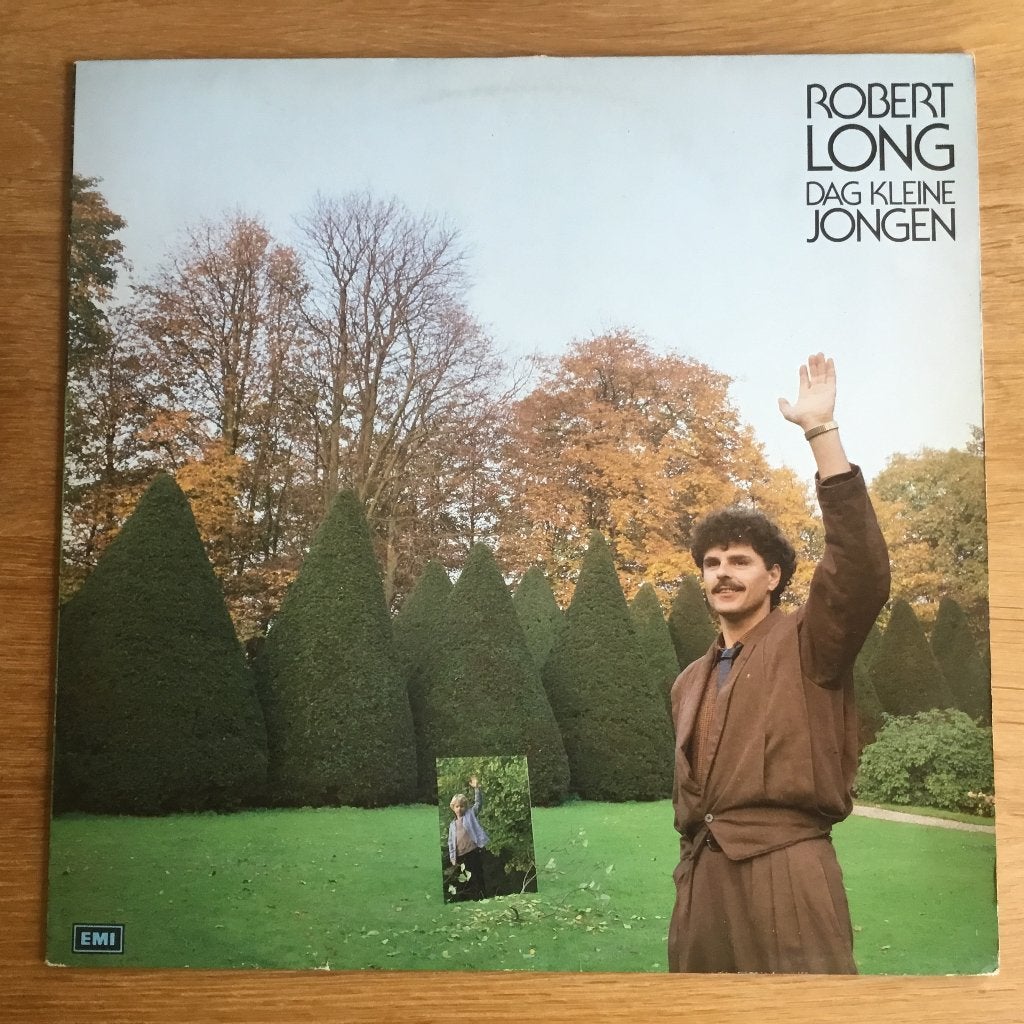 Robert Long - Dag Kleine Jongen LP, Ophalen, Gebruikt, 12 inch, Overige genres