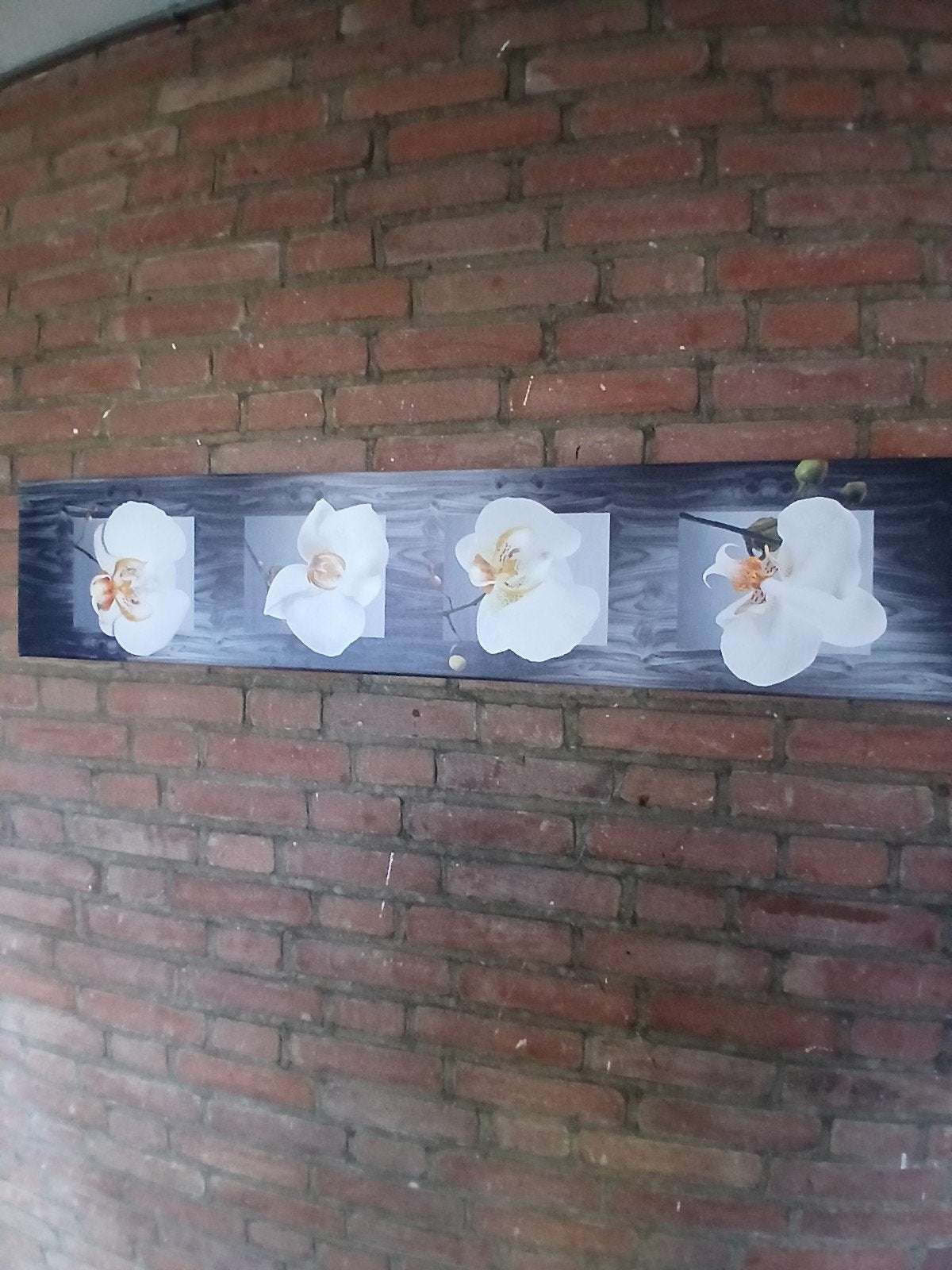 Schilderij met witte orchideeën - Modern en elegant, Ophalen, Zo goed als nieuw, Schilderij, 75 tot 100 cm