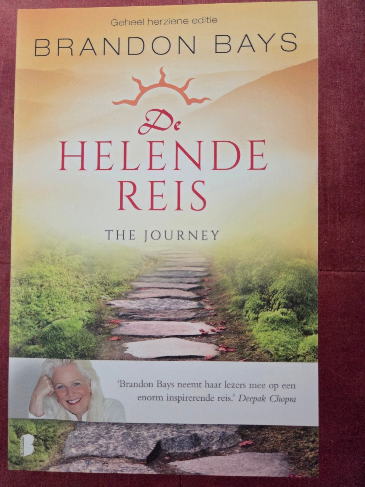De Helende Reis - Brandon Bays (Geheel herziene editie), Boeken, Gelezen, Spiritualiteit algemeen, Brandon Bays, Ophalen of Verzenden