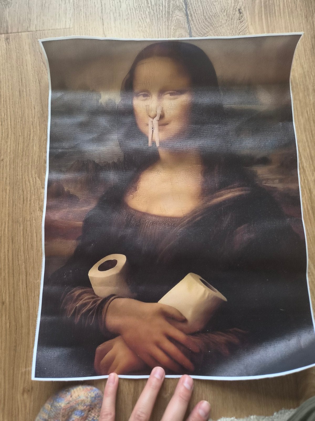 Grappige Mona Lisa WC-kunst Van WC-muur bestel nooit gebrui, Antiek en Kunst, Ophalen of Verzenden