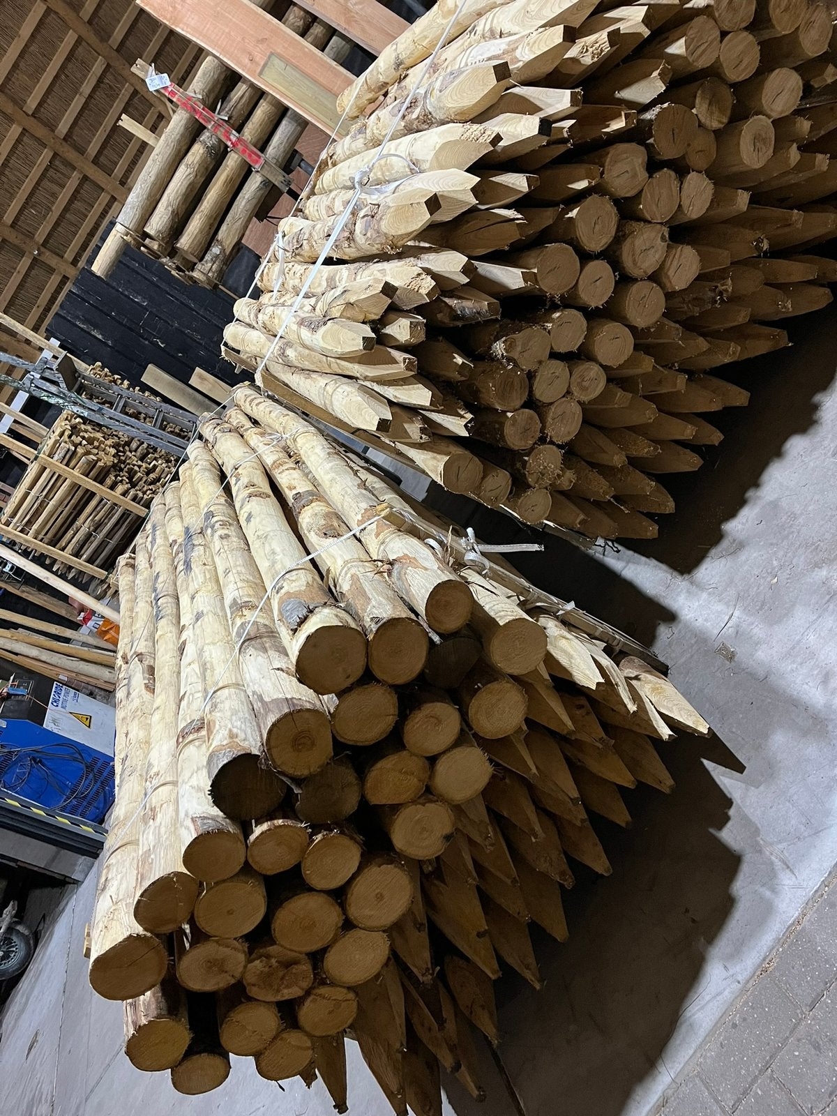 Kastanje paal 200/10-12 cm voor wolvenraster