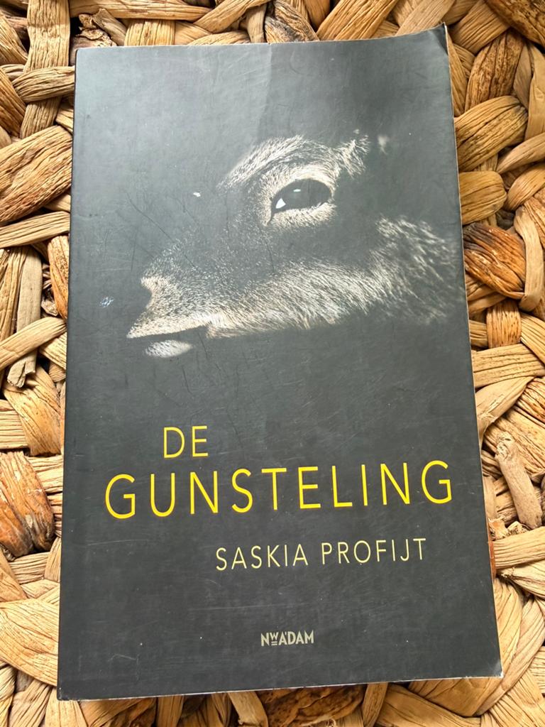 De Gunsteling - Saskia Profijt (Historische Roman), Ophalen of Verzenden, Zo goed als nieuw