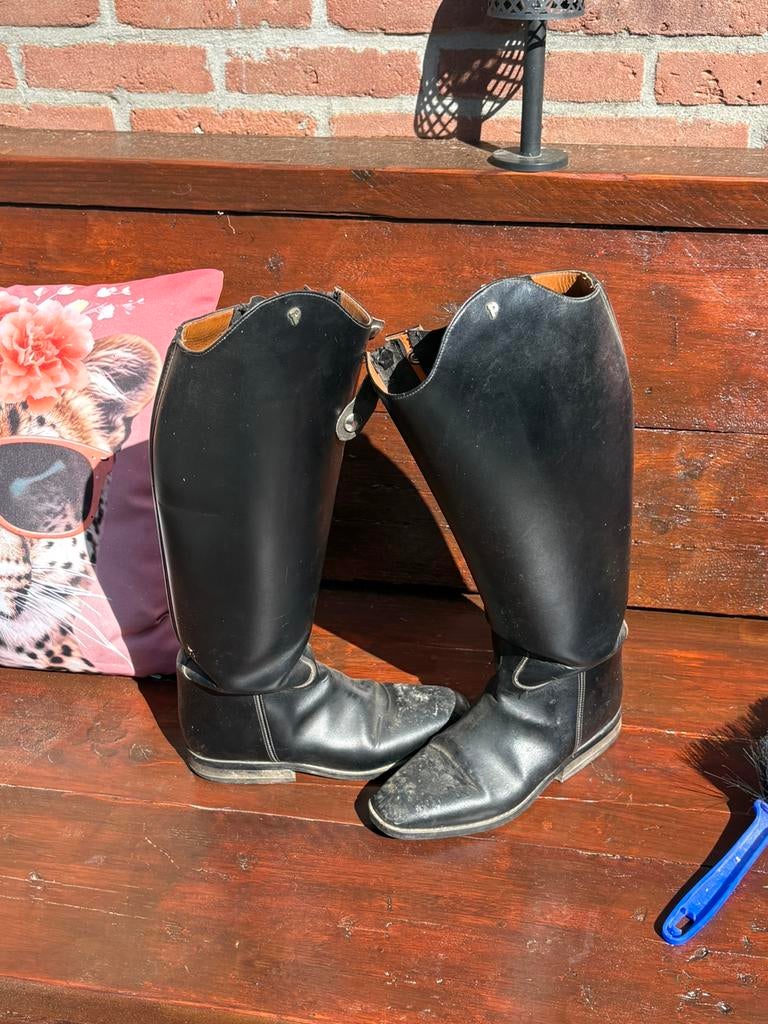 Rijlaarzen Petrie grote kuitmaat, Dieren en Toebehoren, Paardrijkleding, Gebruikt, Dressuur, Ophalen of Verzenden, Dames