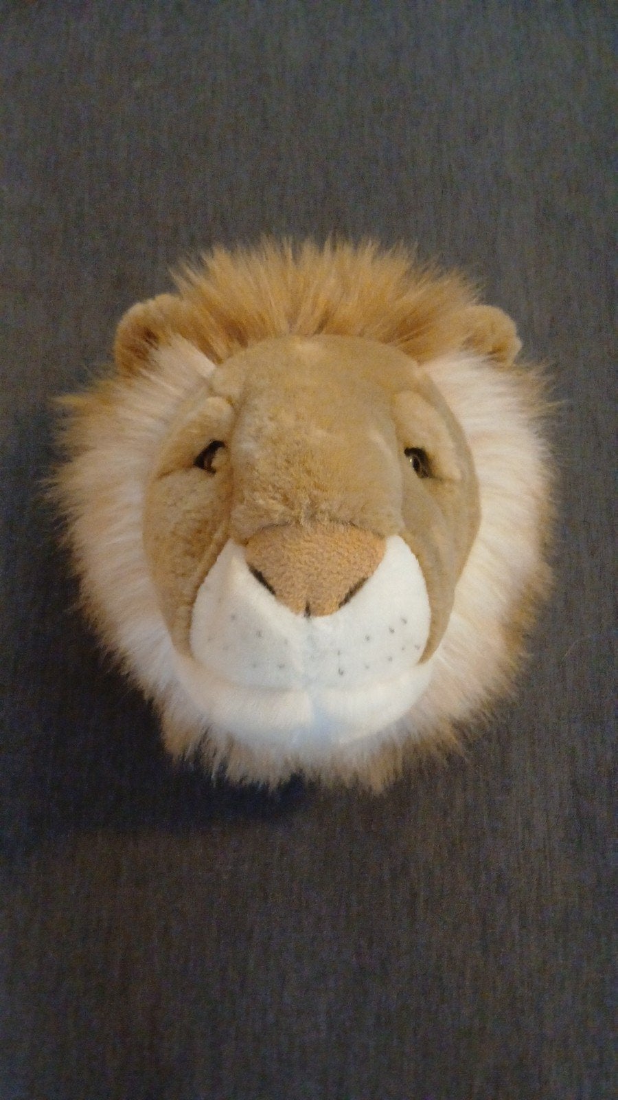 Leeuw dierenkop, 20 cm, Decoratieobject, Ophalen of Verzenden, Zo goed als nieuw