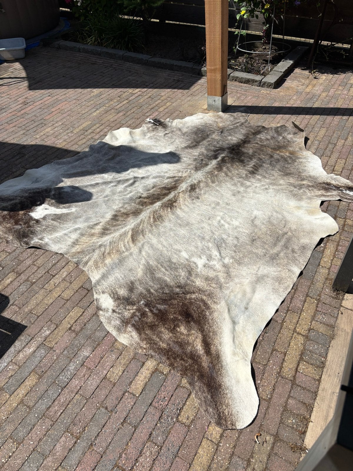 Prachtig koeienvel - Grijs/Bruin gevlekt, Ophalen, 150 tot 200 cm, 200 cm of meer, Zo goed als nieuw
