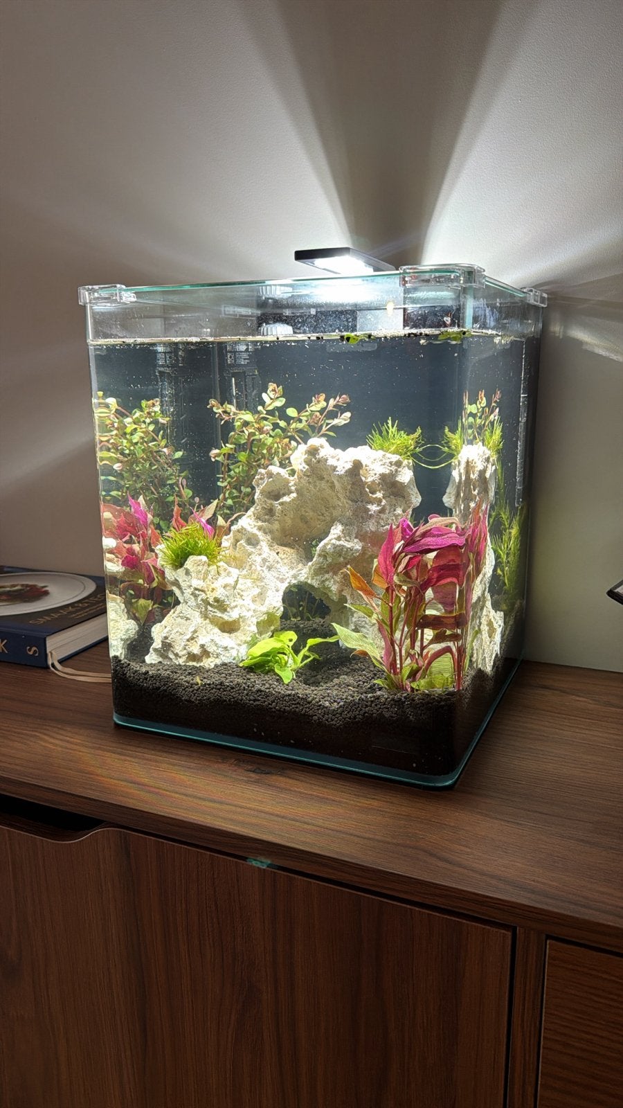 Aquarium zo goed als nieuw 50L, Ophalen, Zo goed als nieuw, Leeg aquarium