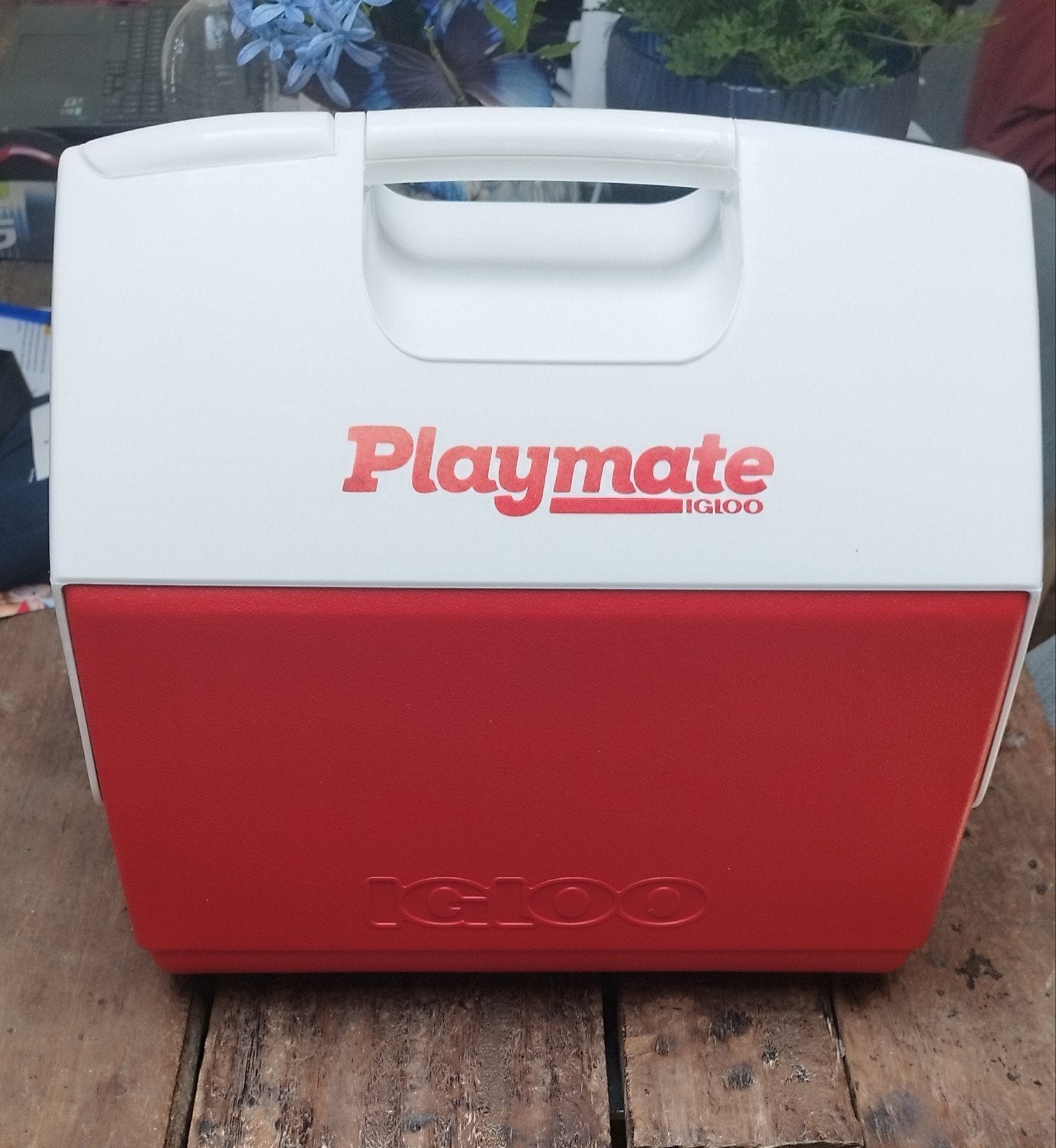 IGLOO Playmate Elite Koelbox 15L Rood, Ophalen of Verzenden, Nieuw, Koelelement