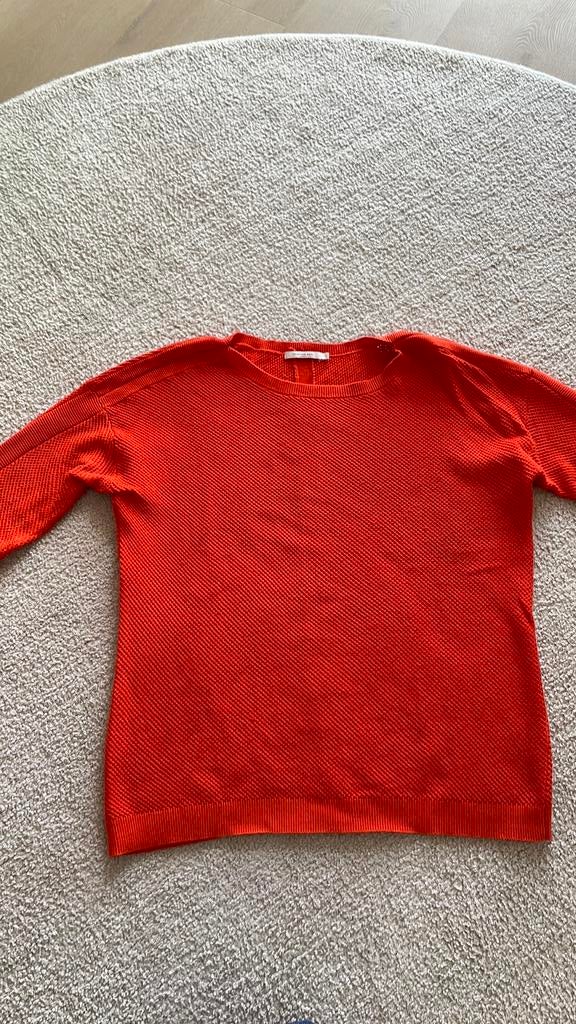 Oranje trui mt L van hampton bays, Kleding | Dames, Ophalen of Verzenden, Zo goed als nieuw, Maat 42/44 (L), Oranje
