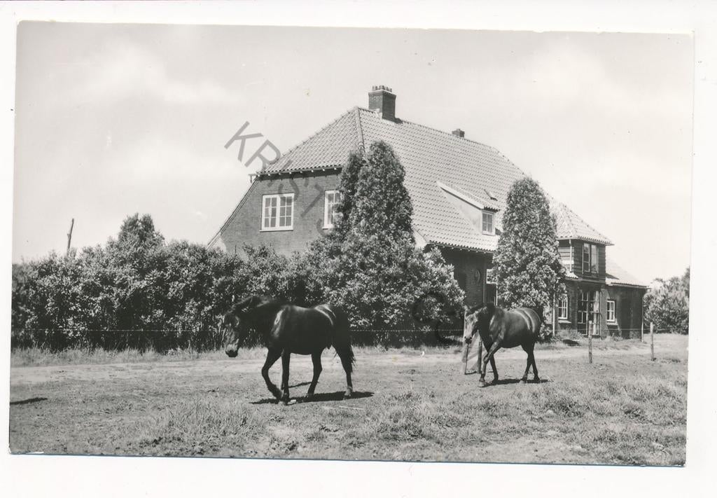 Lochem - Buitencentrum Ruighenrode [KRST003-5267, Verzenden, 1940 tot 1960, Ongelopen, Gelderland