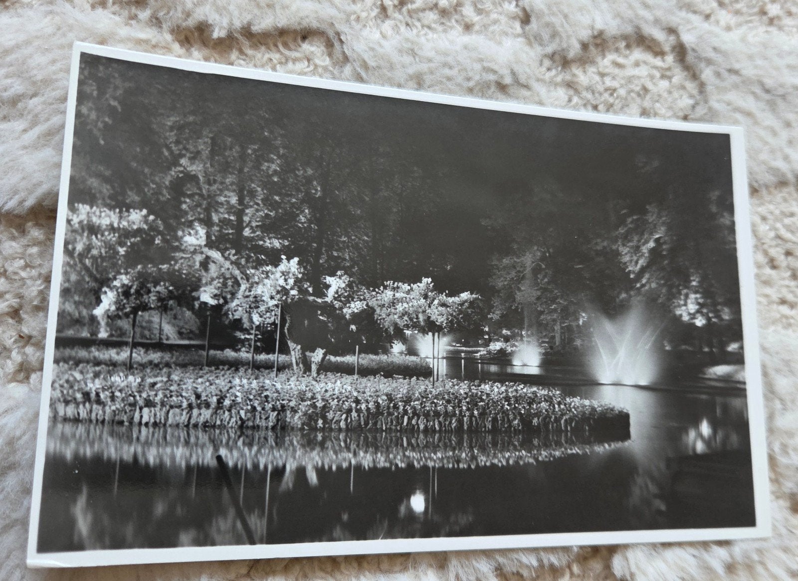 Watertuin in Spotlight, Rotterdam, Verzenden, 1940 tot 1960, Ongelopen, Zuid-Holland