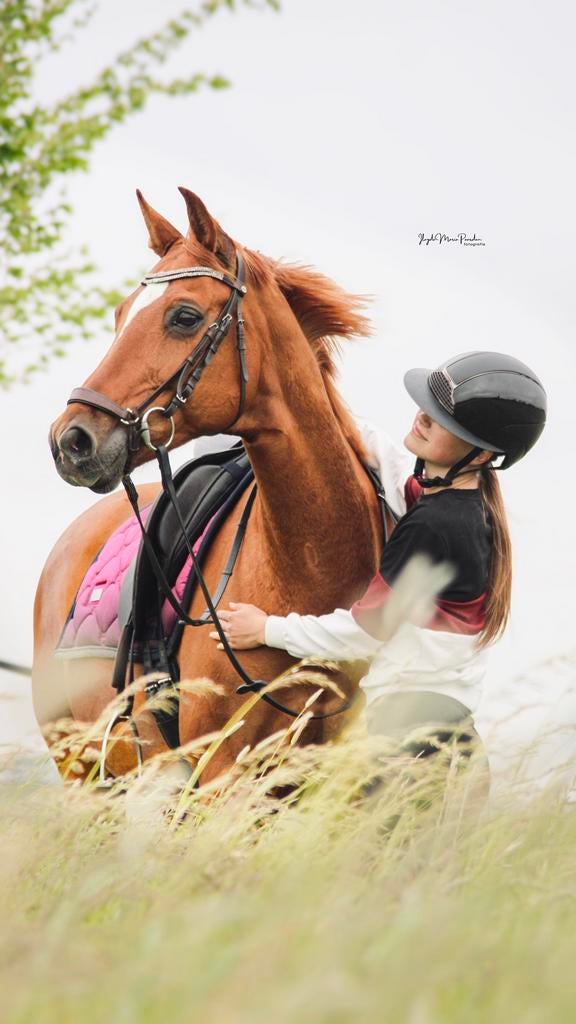 Paardenfotograaf aangeboden, Dieren en Toebehoren, Ophalen of Verzenden, Nieuw, Overige soorten