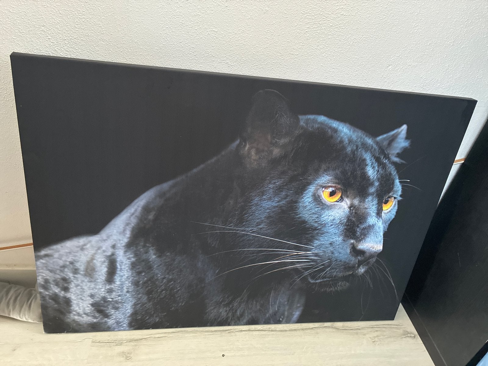 Schilderij Zwarte Panter Canvas, Ophalen, Dieren, Print, Op houten frame