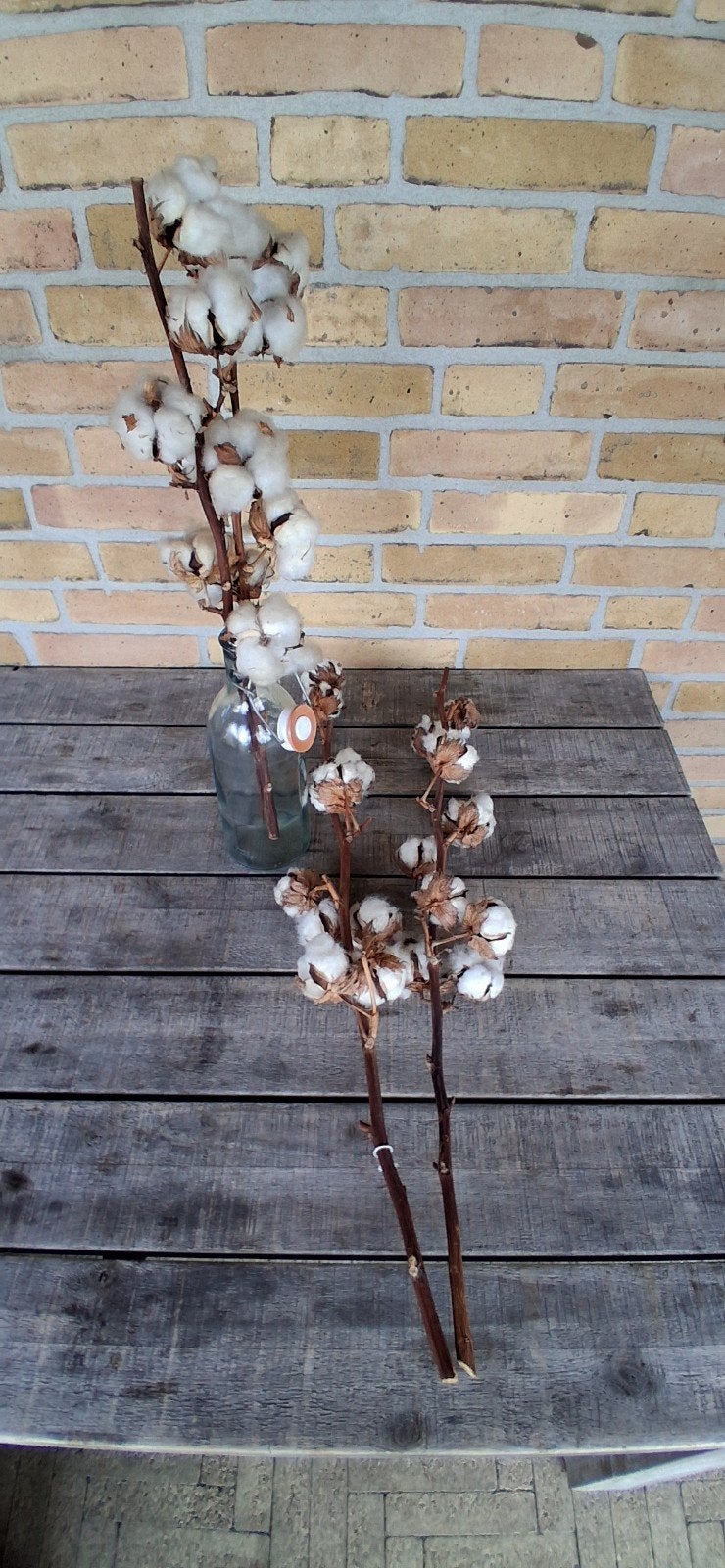 Decoratieve Katoentakken - Natuurlijke Woondecoratie, Gebruikt, Ophalen of Verzenden, Landelijk, Natuurlijk materiaal