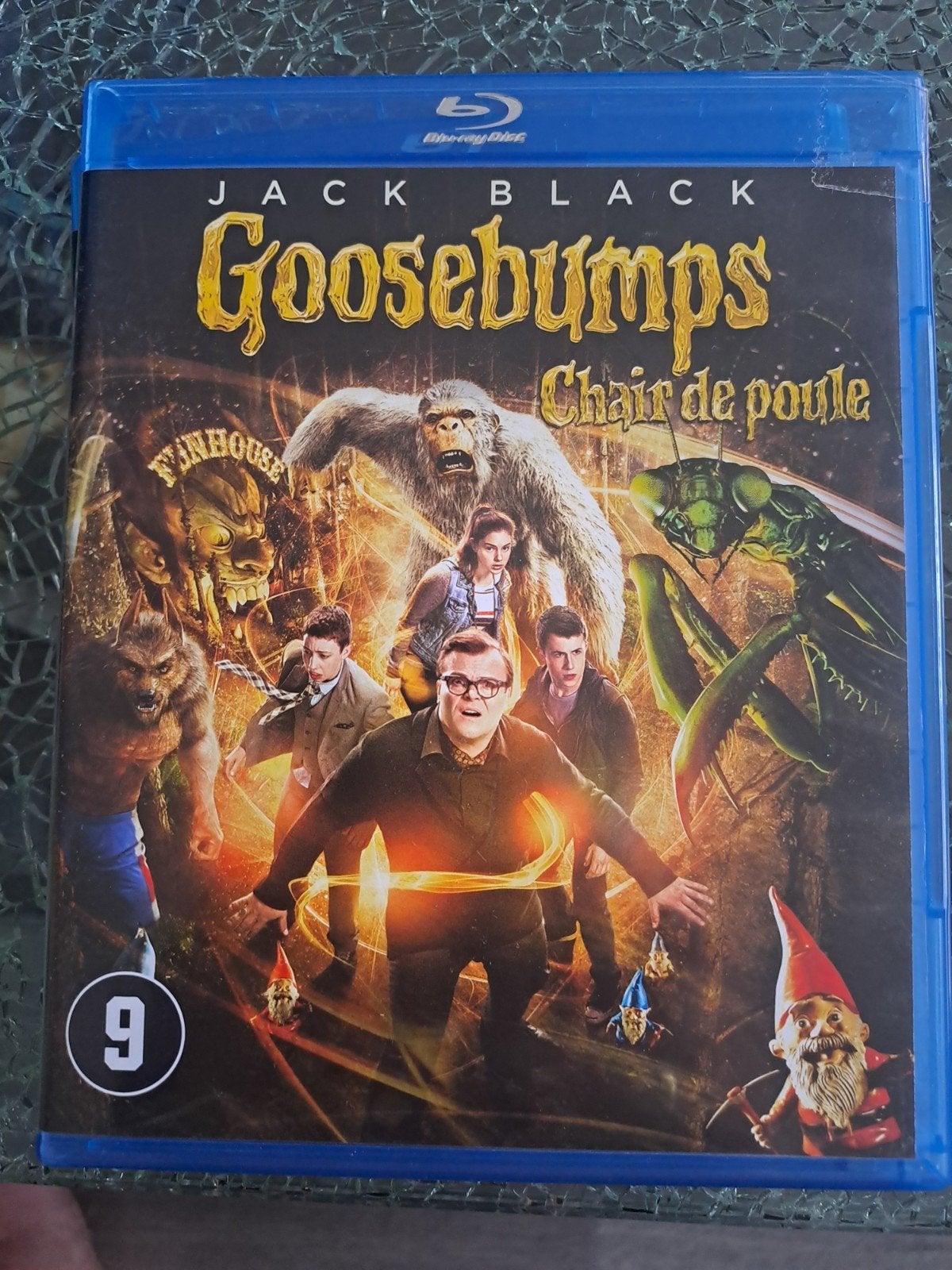 goosebumps (brd), Cd's en Dvd's, Ophalen of Verzenden, Zo goed als nieuw
