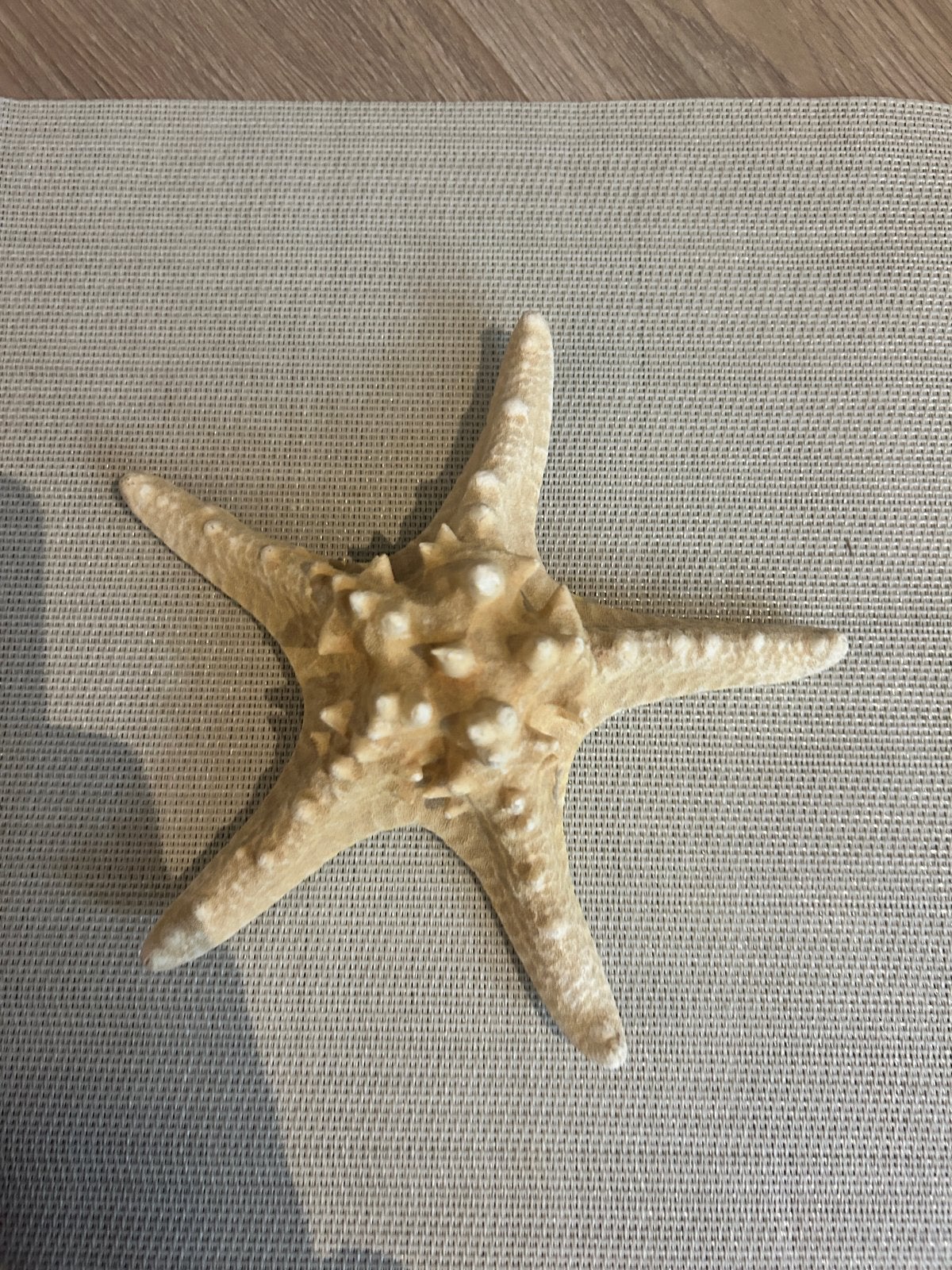 Decoratieve zeester - 18 cm, Ophalen of Verzenden, Zo goed als nieuw