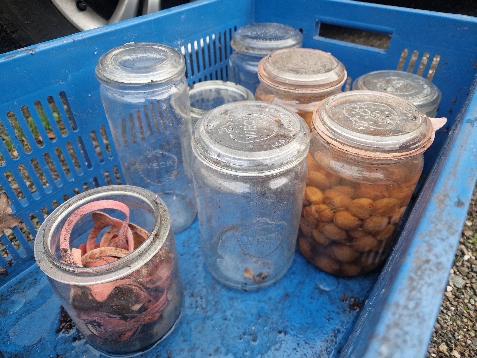 Weckpotten: Merk Weck !!, div. formaten, zie info, Ophalen of Verzenden