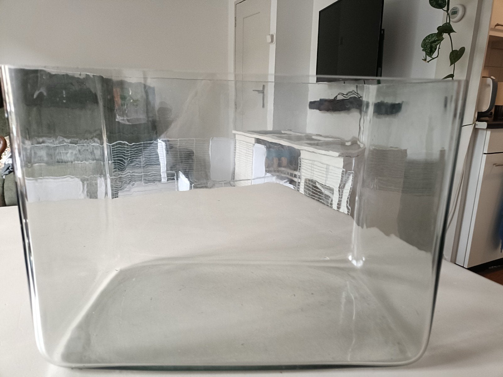 glazen bak 36 x 23 x 27, Ophalen, Leeg aquarium
