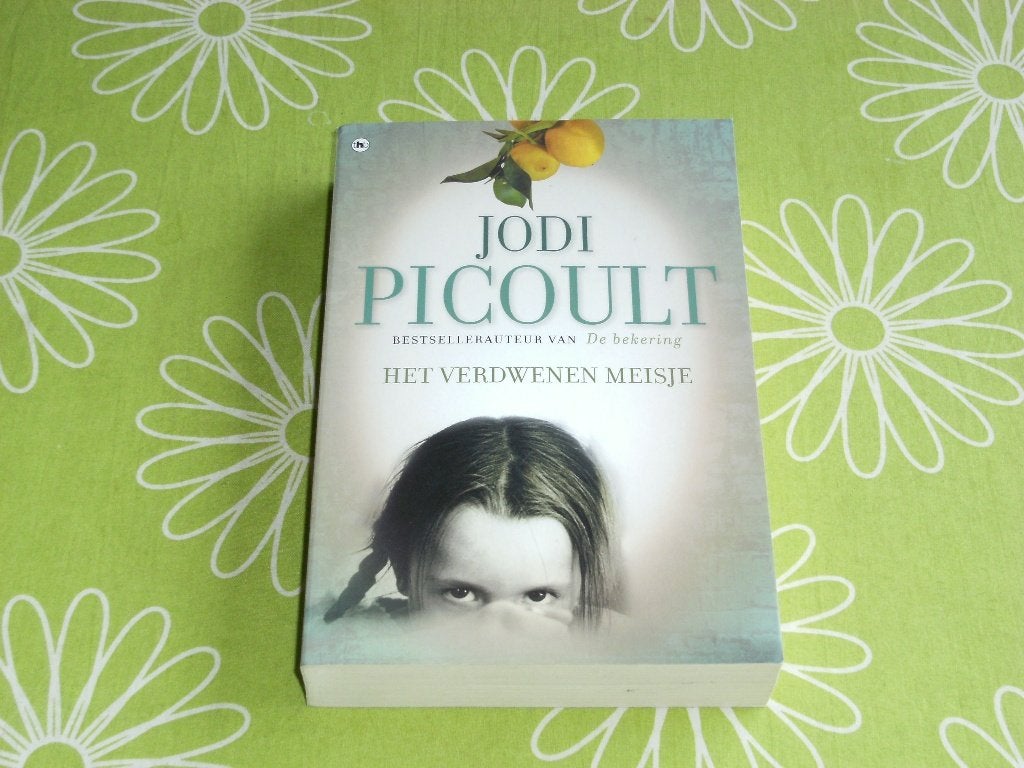 Jodi Picoult - Het verdwenen meisje, Boeken, Ophalen of Verzenden, Zo goed als nieuw, Jodi Picoult