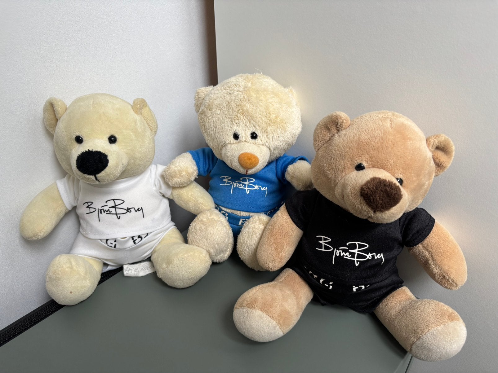 Bjornborg beertjes knuffels, Overige merken, Overige karakters, Beer, Ophalen of Verzenden