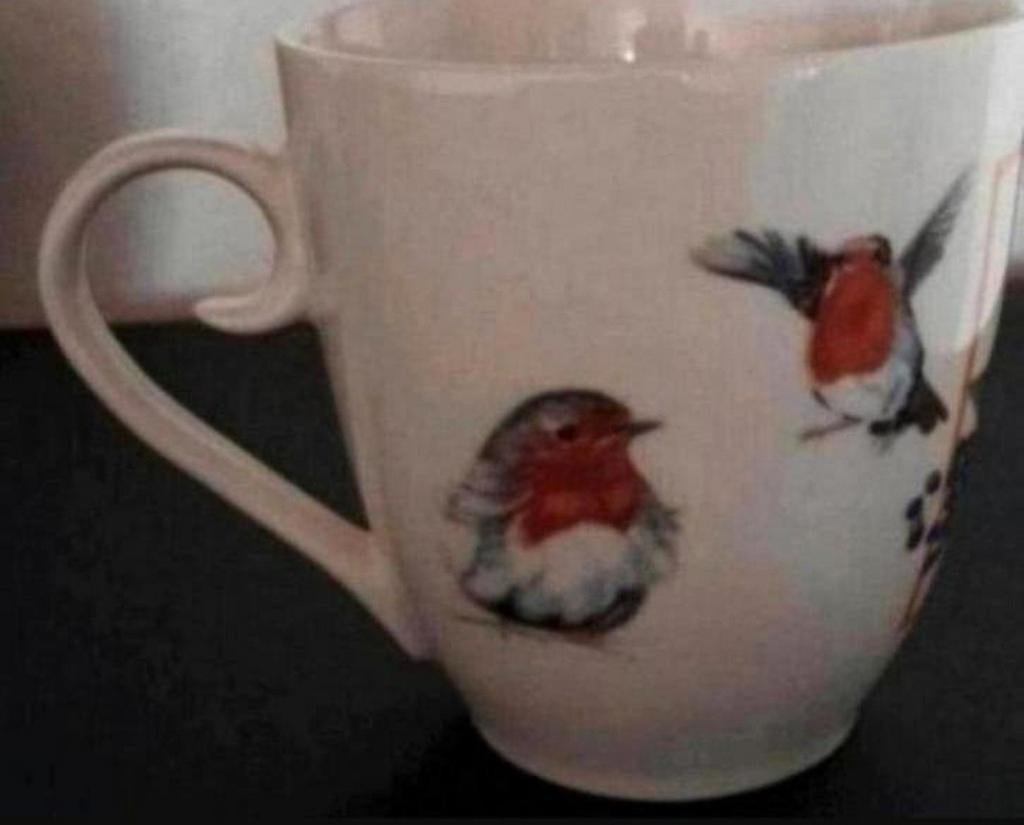 Beker Jet met Roodborstjes, Huis en Inrichting, Keuken | Servies, Ophalen of Verzenden, Zo goed als nieuw, Overige stijlen, Kop(pen) en/of Schotel(s)