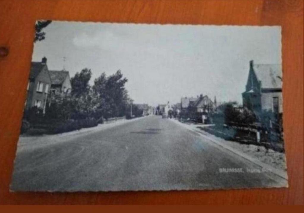 Oude Ansichtkaart Bruinisse - Ingang Dorp, Ophalen of Verzenden