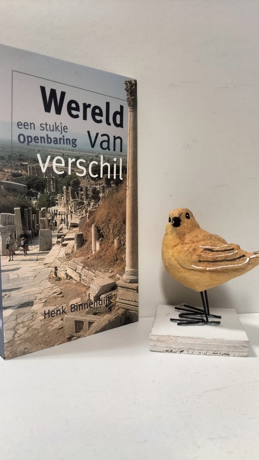 Binnendijk, Henk; Wereld van verschil (Een stukje Openbaring, Ophalen of Verzenden, Gelezen, Christendom | Protestants
