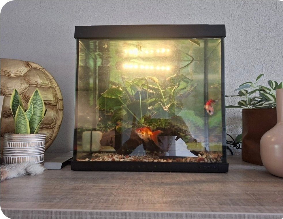 compleet Aquarium  25x30x35 cm, Ophalen of Verzenden, Zo goed als nieuw