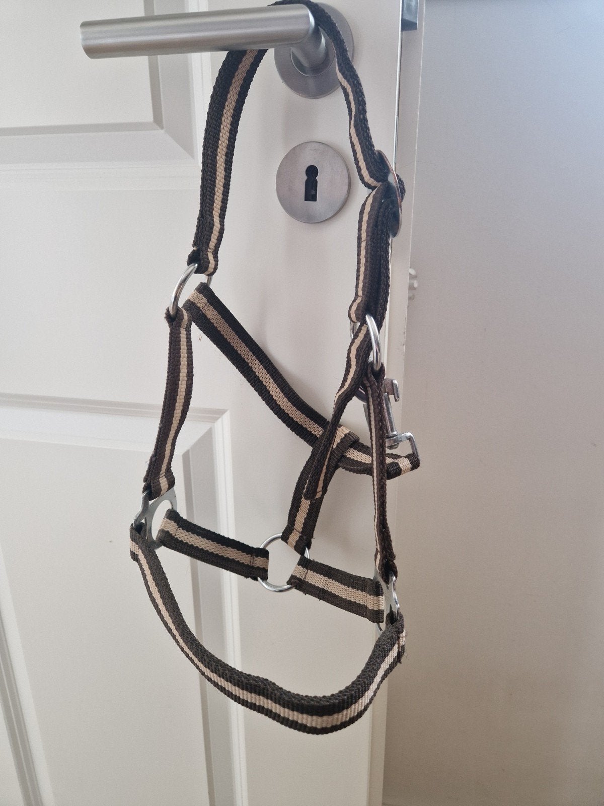 nieuw halster voor pony, Ophalen, Nieuw, Mini, Halster