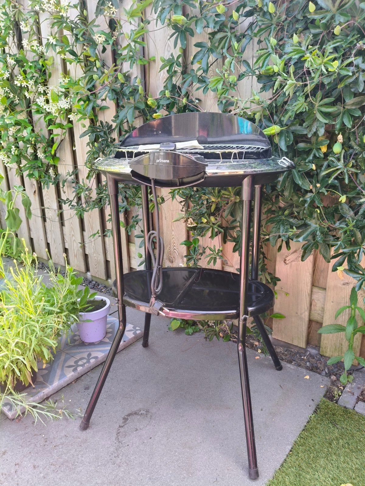 Nieuwe primera Elektrische Barbecue met standaard, Ophalen of Verzenden, Nieuw, Primera