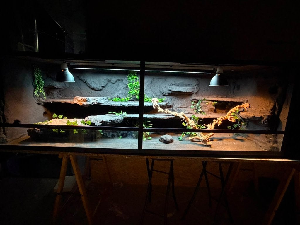 Woestijnterrarium op maat!, Ophalen of Verzenden, Nieuw, Terrarium of Paludarium