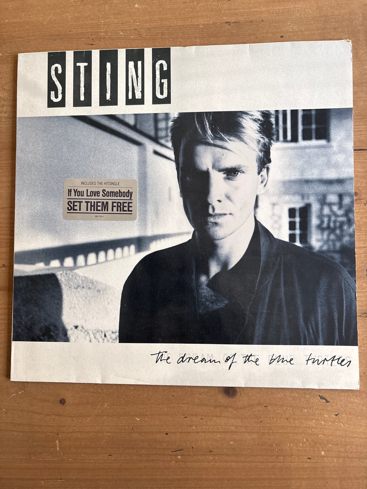 Sting - The Dream of the Blue Turtles LP (1985), LP, Gebruikt, Pop, Originele persing