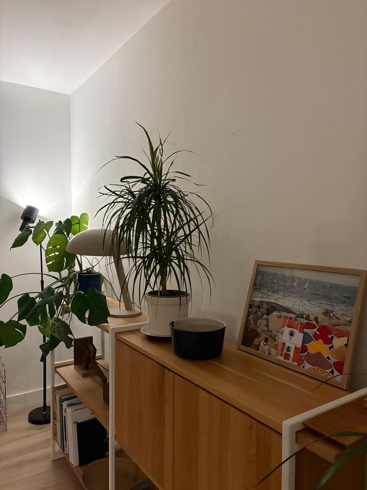 Studio Henk houten dressoir/boekenkast met metalen frame, Ophalen, Zo goed als nieuw