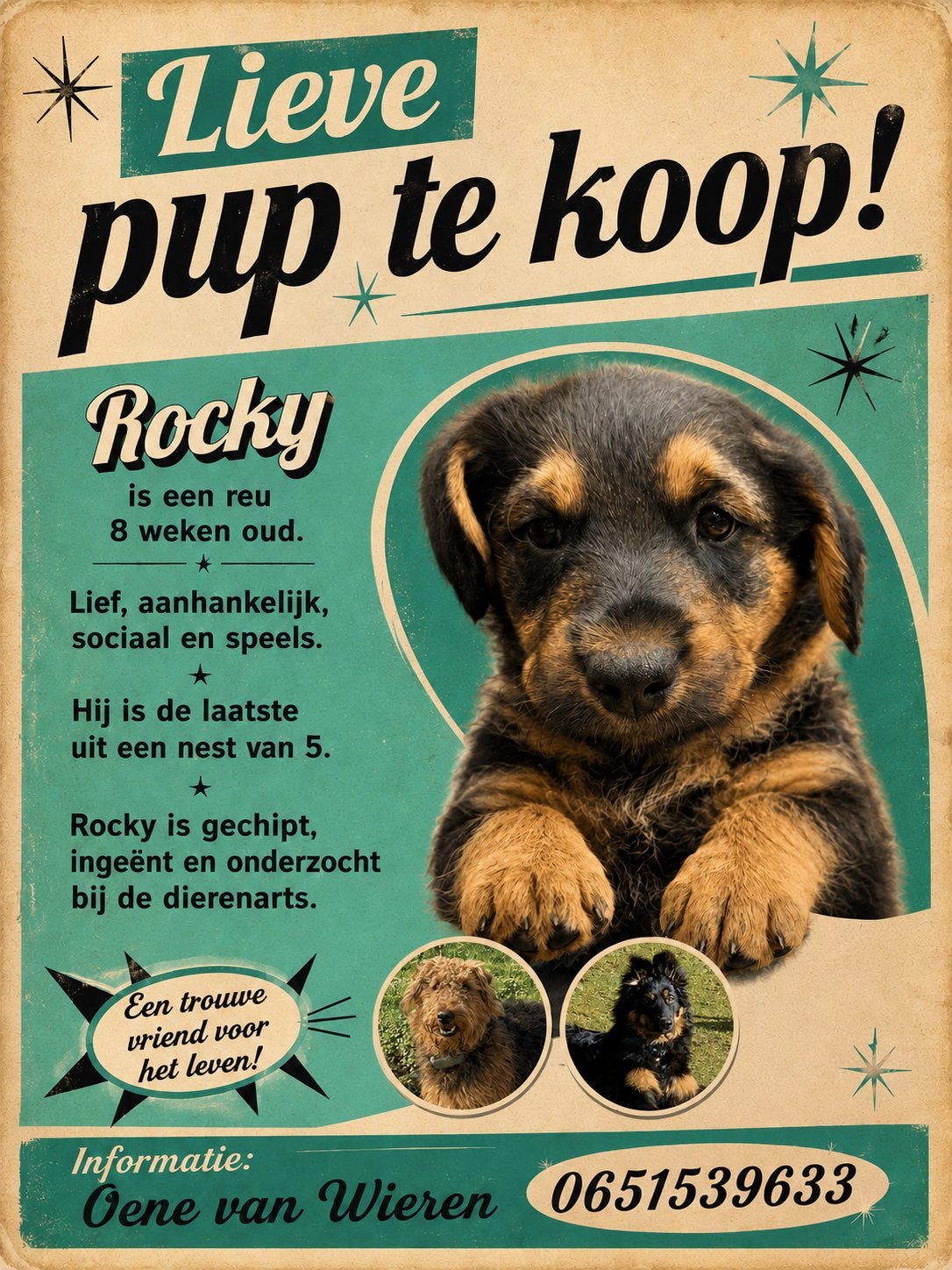 Lieve pup te koop!, Dieren en Toebehoren, Honden | Niet-rashonden, 8 tot 15 weken, Parvo, Meerdere, Meerdere dieren