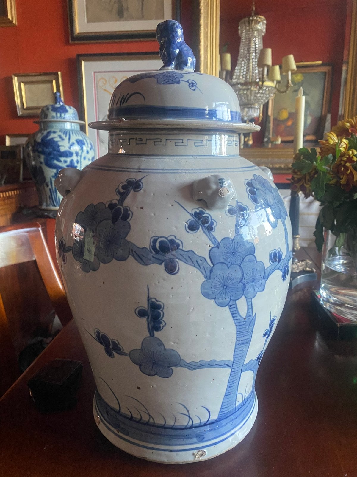 Gemberpot bloesem, Ophalen