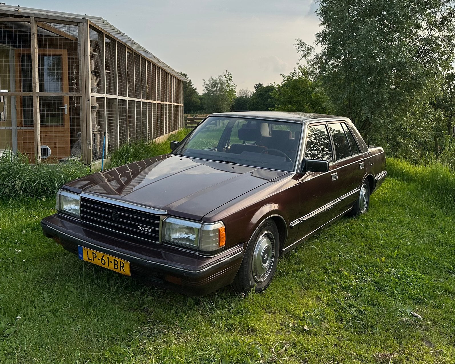 Toyota Crown 1984 Ms123, Auto's, Toyota, Automaat, Achterwielaandrijving, 1800 kg, Overige modellen