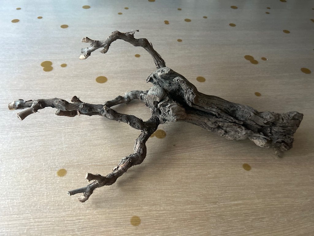 Decoratieve Wijnrank - Uniek Natuurlijk Kunstwerk, Ophalen, Gebruikt, Decoratieobject, 25 cm