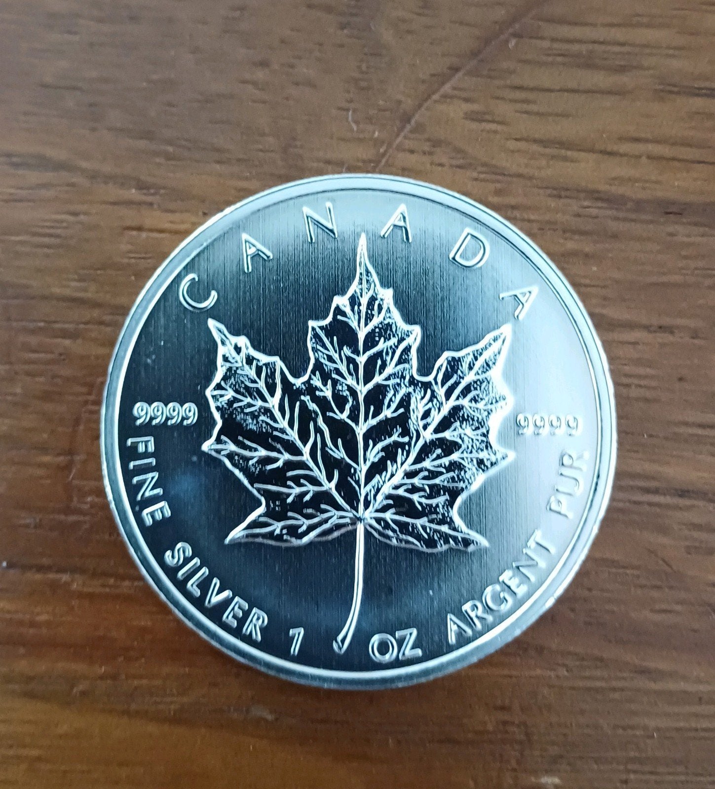 40 stuks Zilveren Maple Leaf 2012 munten, Ophalen of Verzenden, Zilver