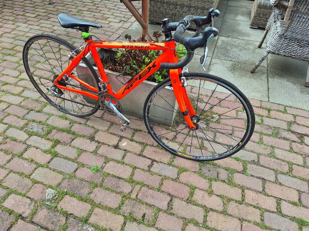 Racefiets/ veldrijfiets Apex Stinger, 28 inch, Gebruikt, Aluminium, Minder dan 49 cm