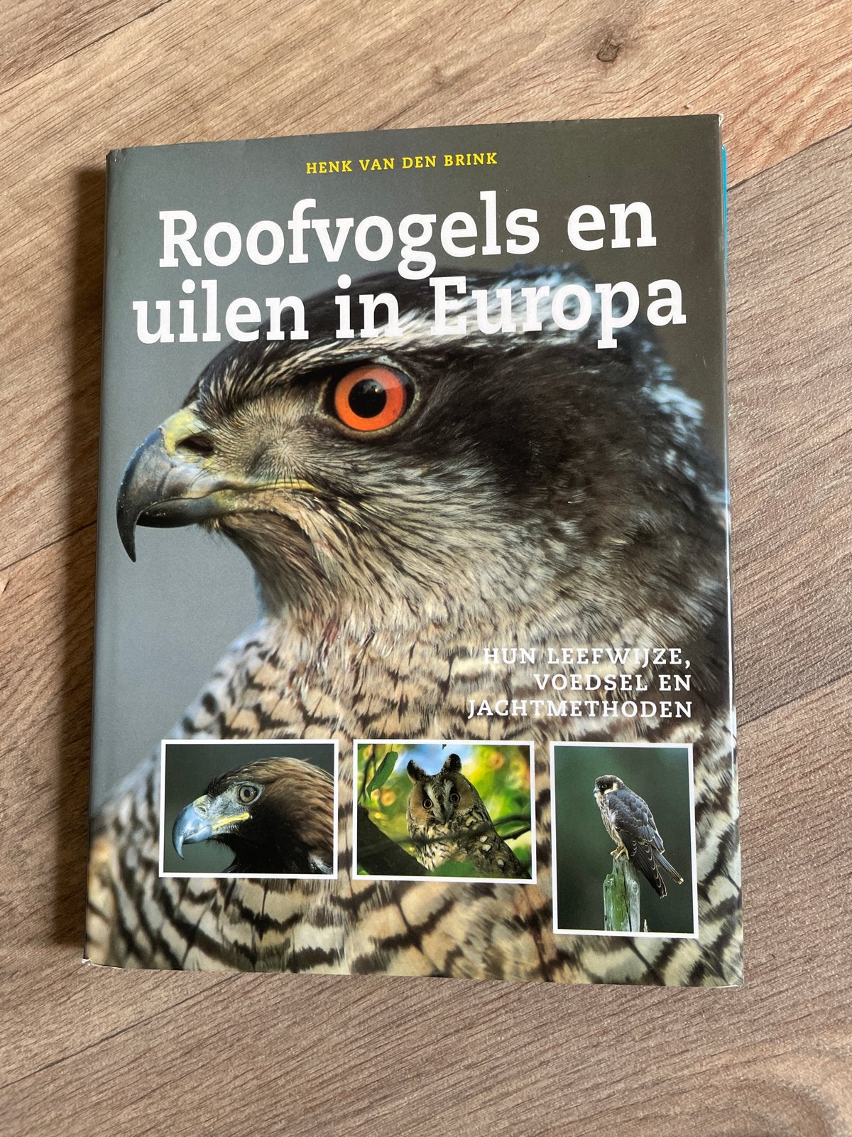 Roofvogels en uilen in Europa - Henk van den Brink, Ophalen of Verzenden, Gelezen, Vogels