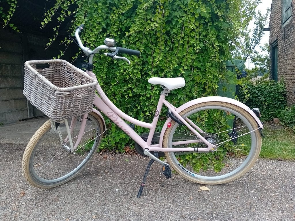 Batavus Diva Roze Transsportfiets 26 inch, Terugtraprem, Gebruikt, Versnellingen, Batavus Diva