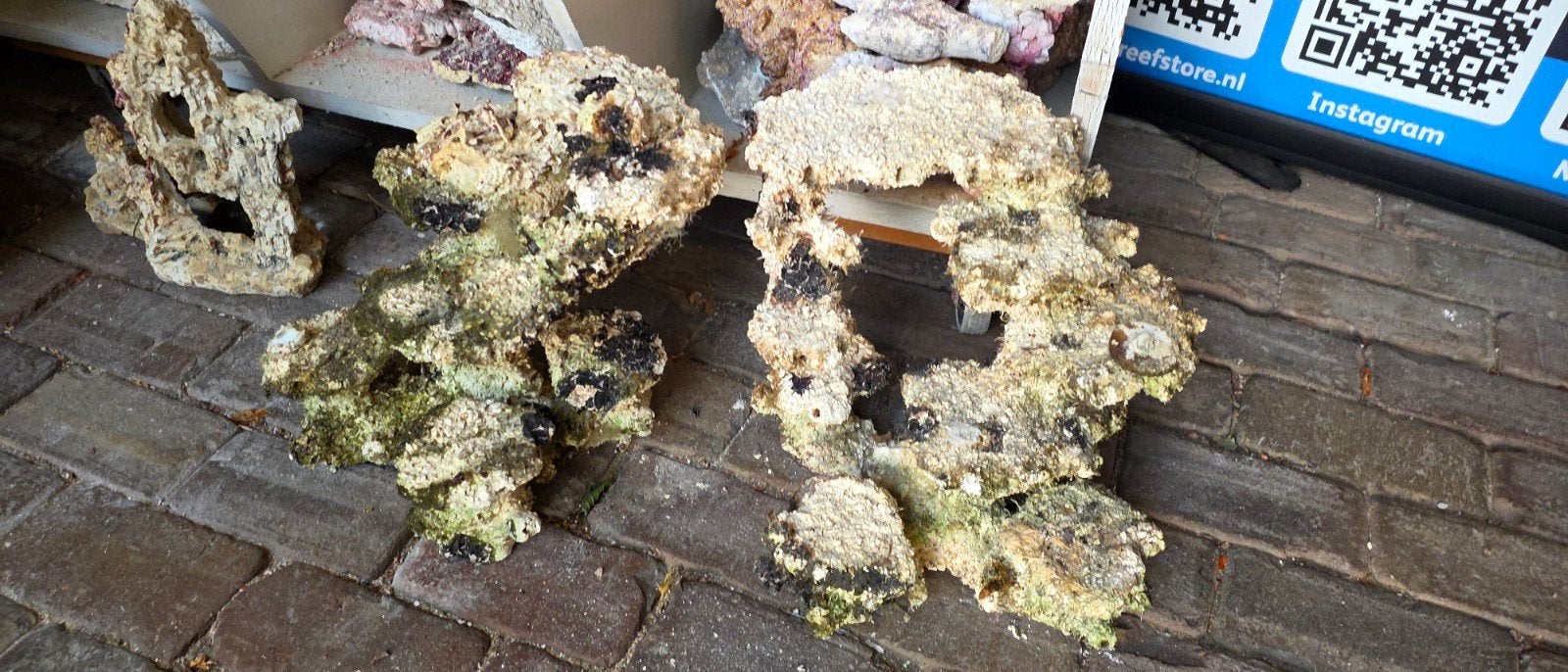 Aquarium rif met plateaus, Dieren en Toebehoren, Ophalen, Plant(en), Steen of Hout