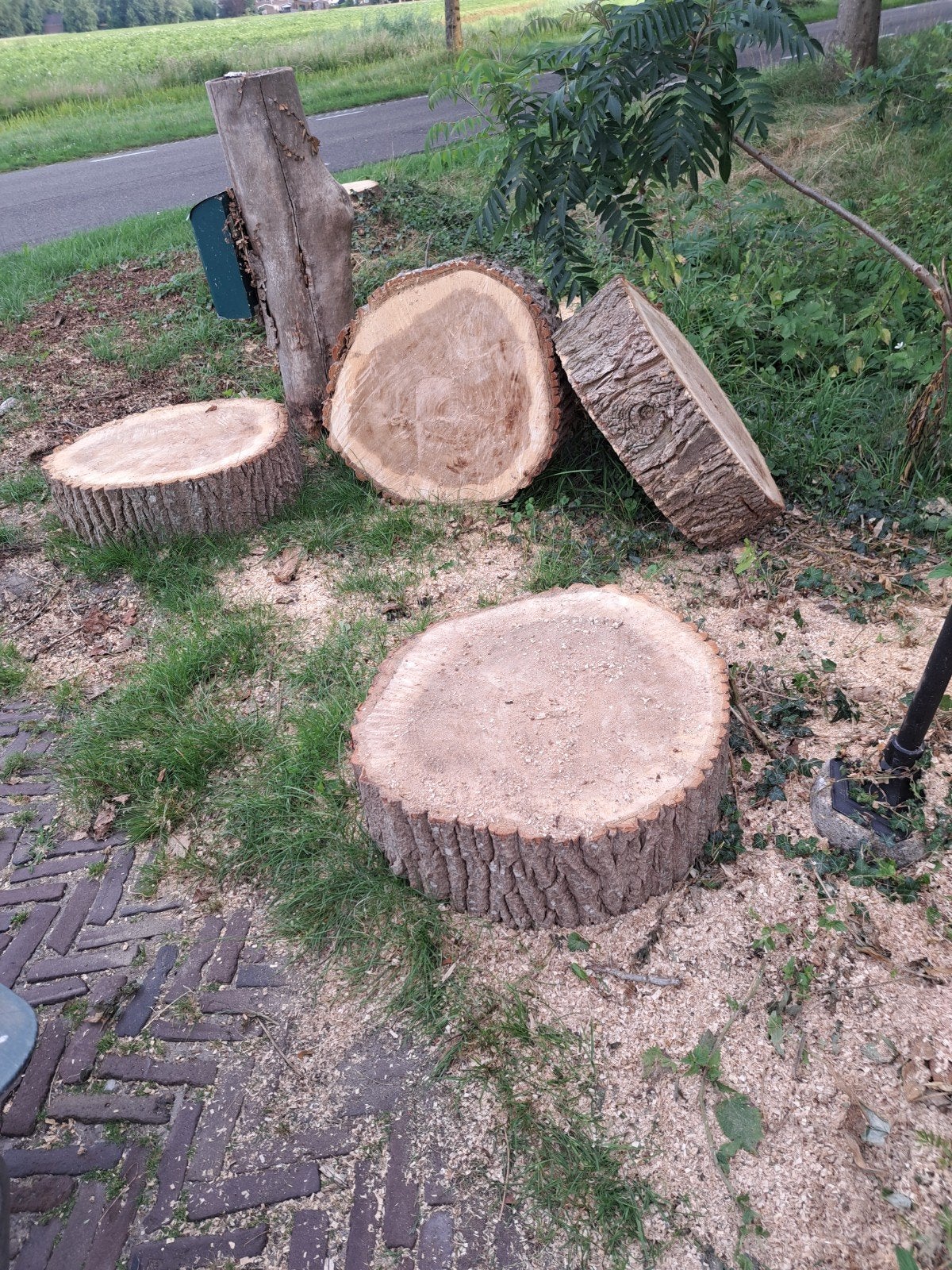 Boomschijven van 70cm tot 1 meter diameter, Minder dan 3 m³, Ophalen of Verzenden, Overige houtsoorten, Blokken