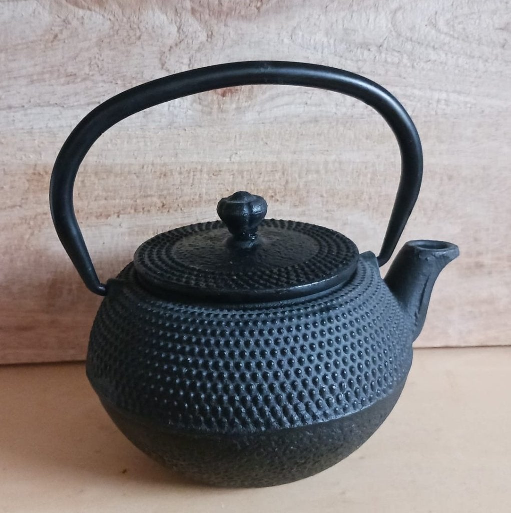 Japanse gietijzeren theepot, Overige typen, Ophalen of Verzenden, Zo goed als nieuw, Zwart