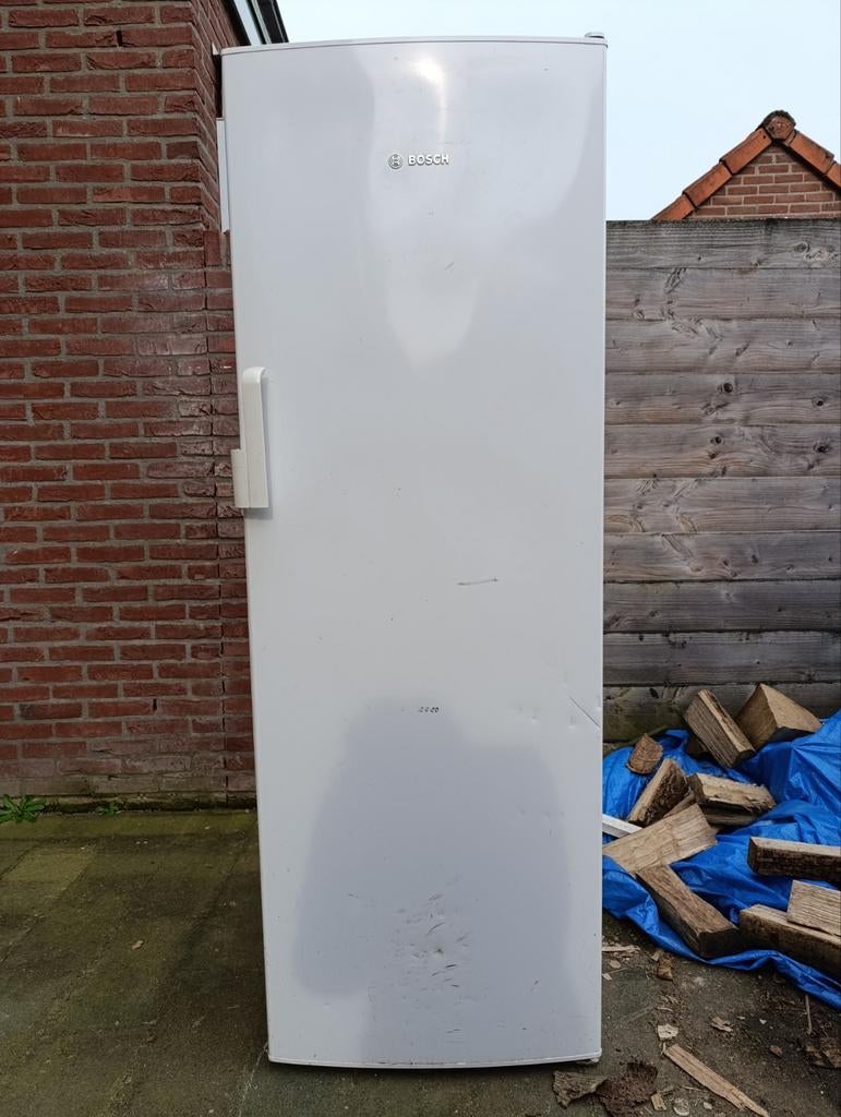 Bosch vriezer moet nu weg!, Gebruikt, Minder dan 60 cm, 160 cm of meer, Vrijstaand