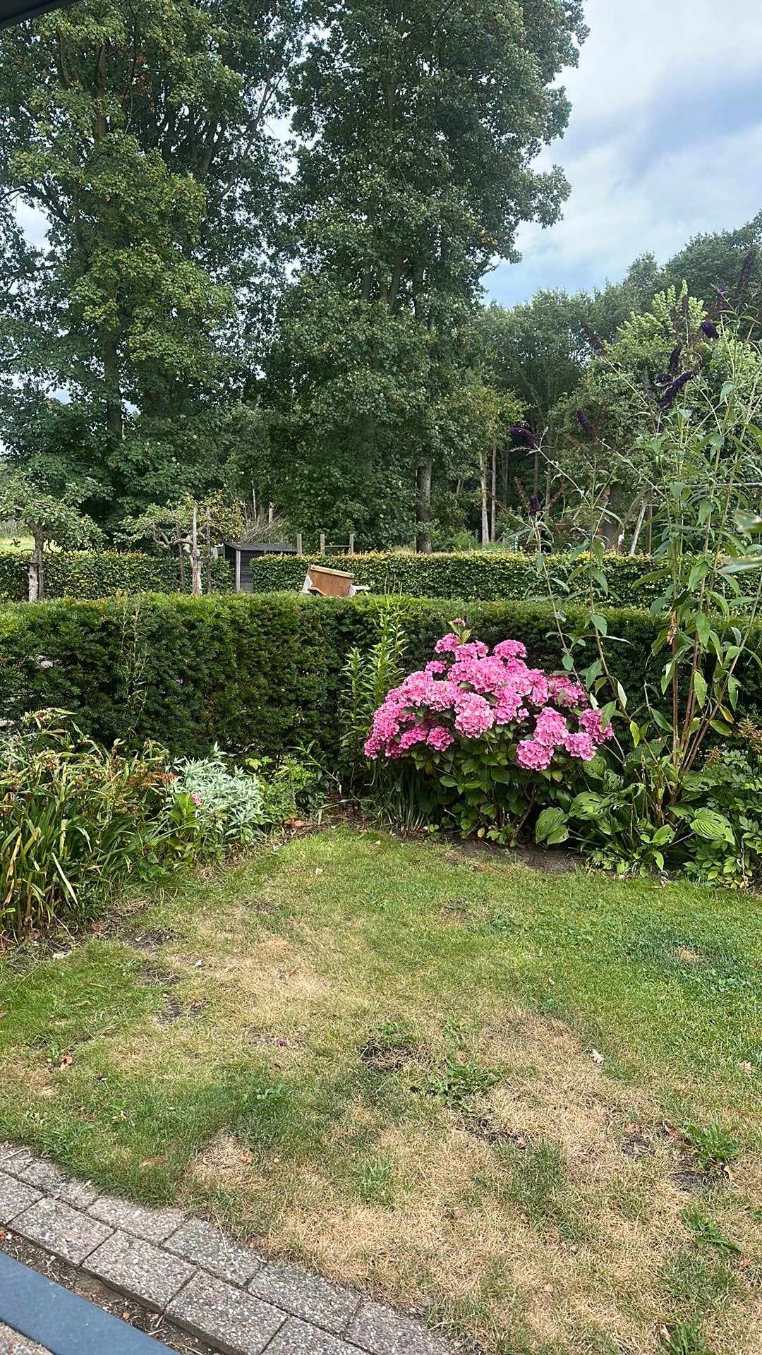 Tuinhulp gezocht !